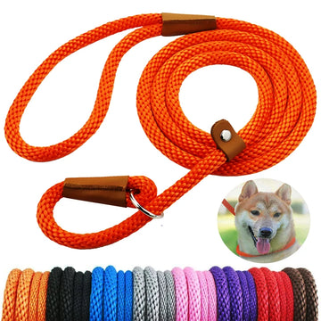 P Chain Durable Nylon Slip Rope Dog Leash Collar
