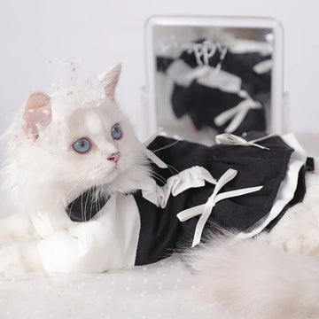 Pet Sweet Uniforms Dress