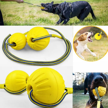 Rope Interactive Tug of War pet dog Toy