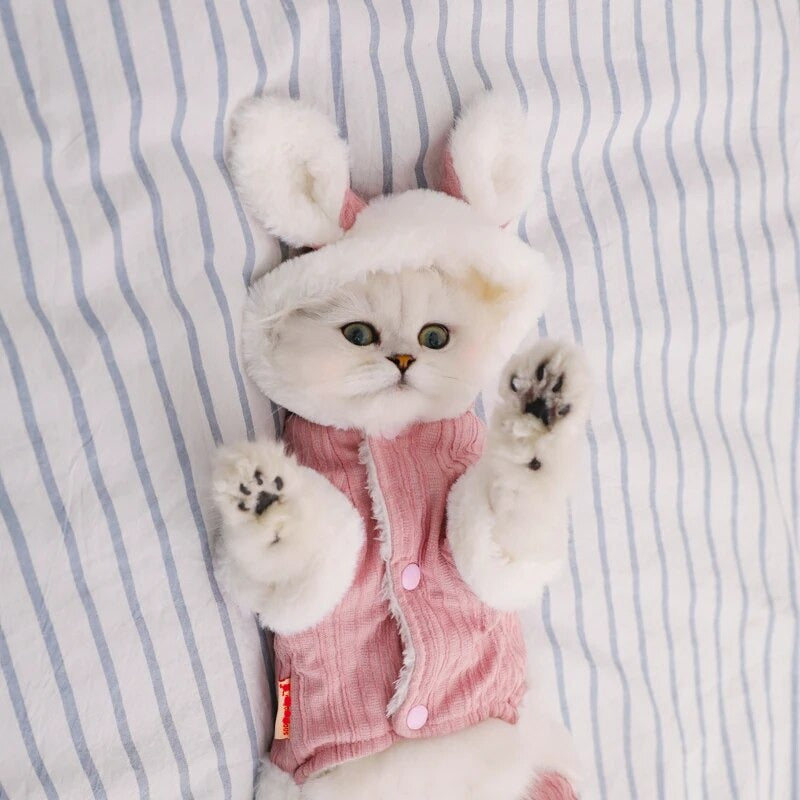 Puppy Kitten Coat Jacket