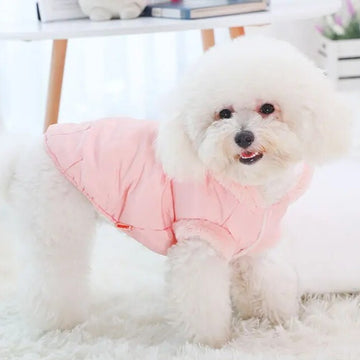 Puppy Thick Coat