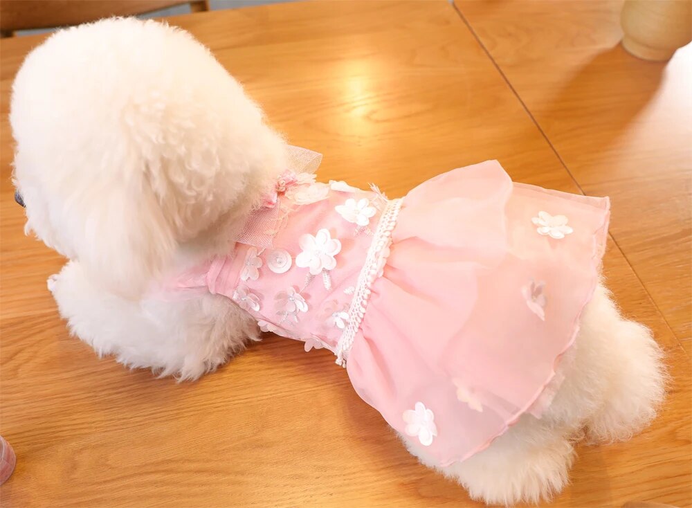 Lace Dress Pet Princess Clothes