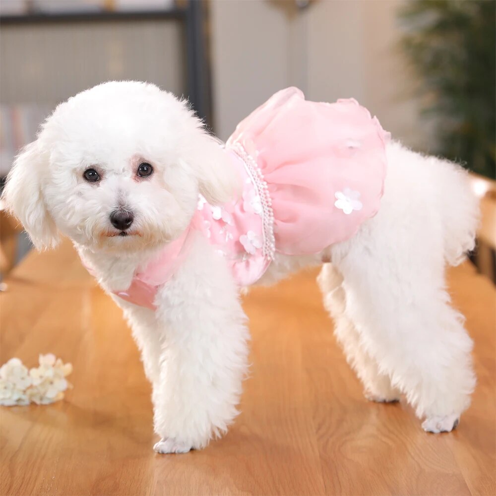 Lace Dress Pet Princess Clothes
