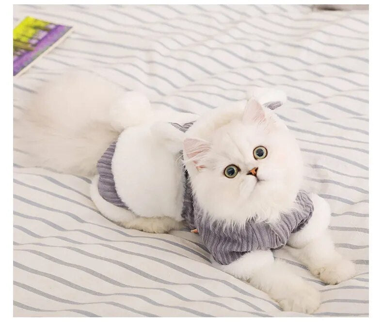 Puppy Kitten Coat Jacket