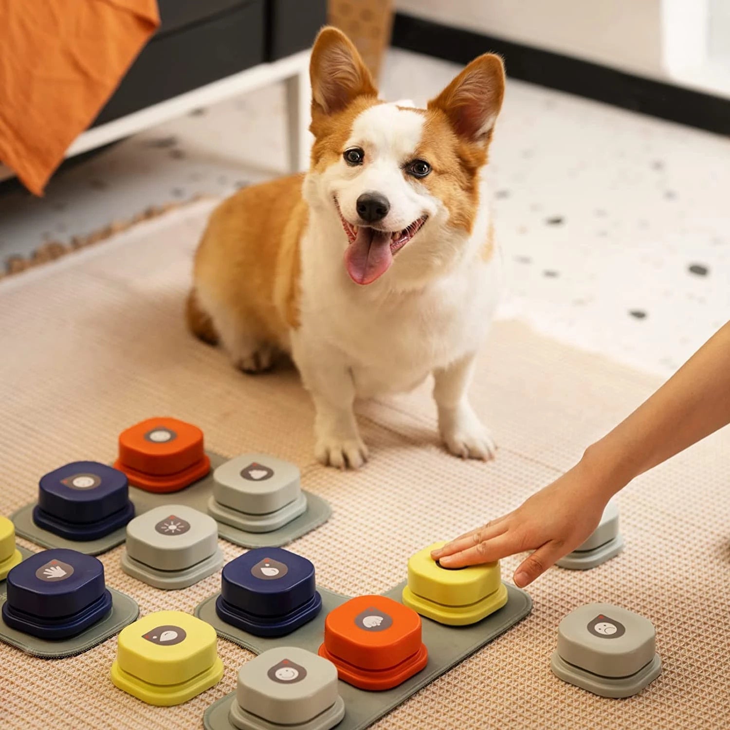 Dog Button Record Talking Pet