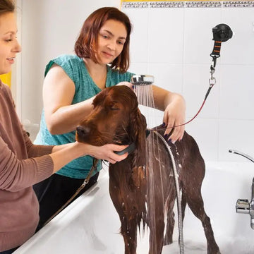 Restraint Leash Pet Bath Accessories with Buckle
