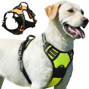 Big Dog Harness With Handle No Pull Harness Leash