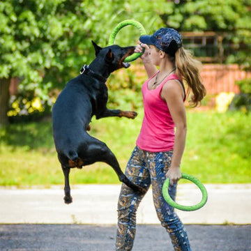 Pet Flying Discs EVA Dog Training Ring Puller Toys