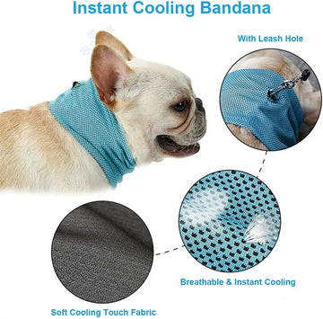Summer Ice Physical Cooling Bandana with Leash Dog Collar