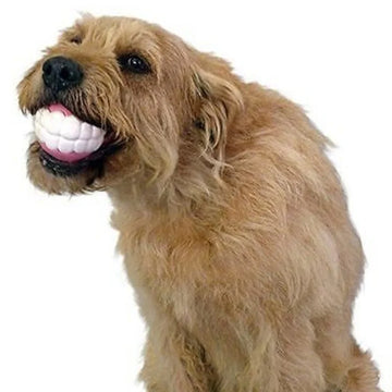 Pet Dog Puppy Ball Teeth Silicon Chew Toys