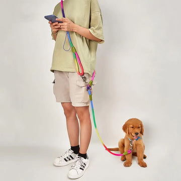 Nylon Leashes Pet Dogs Chain