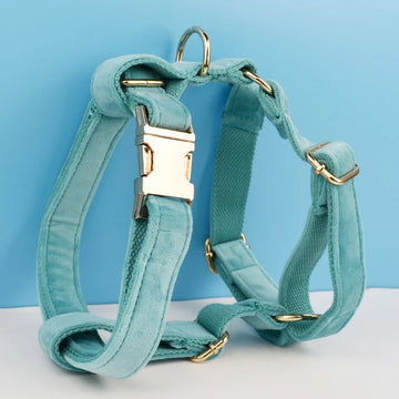 Turquoise Stone Velvet Dog Collar And Leash Set