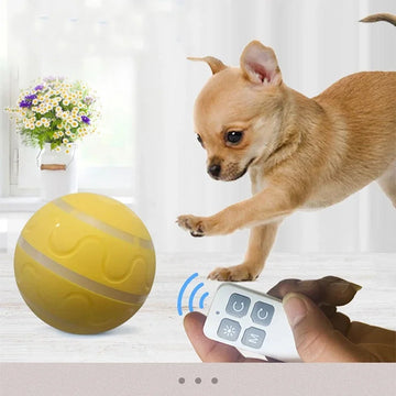 Smart Dog Toys Automatic Rolling Ball Electric Dog Toys