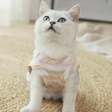 Thin Kitten Hair-proof  Vest