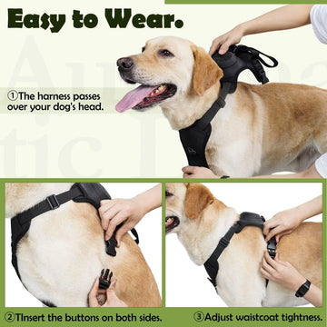 2 in 1 No Pull Dog Harness with Retractable Leash
