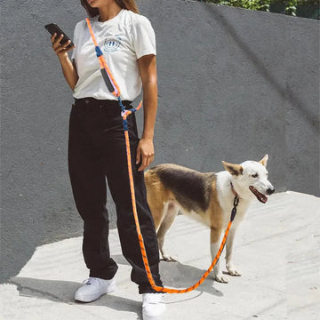 Hands Free Dogs Leash Reflective Leashes