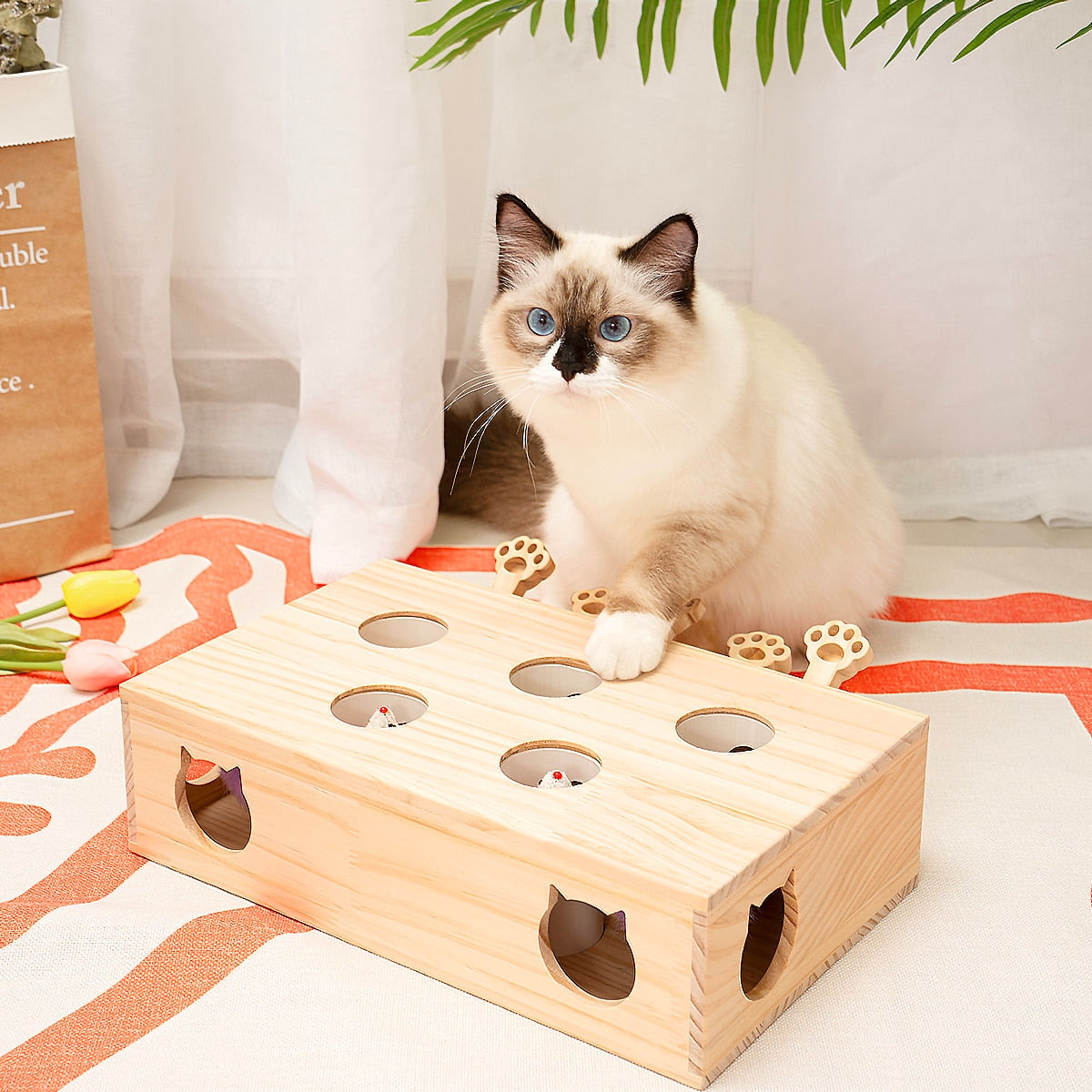 Cat Solid Wood Toys for Indoor