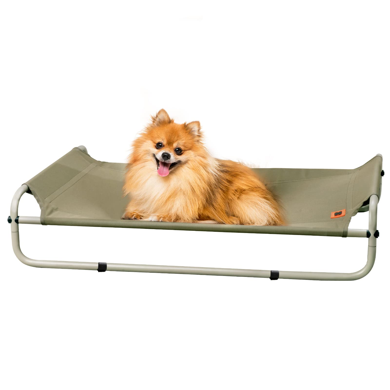 Elevated Dog Bed with Sturdy