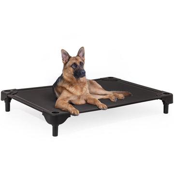 Outdoor Elevated Dog Bed