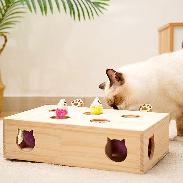 Cat Solid Wood Toys for Indoor