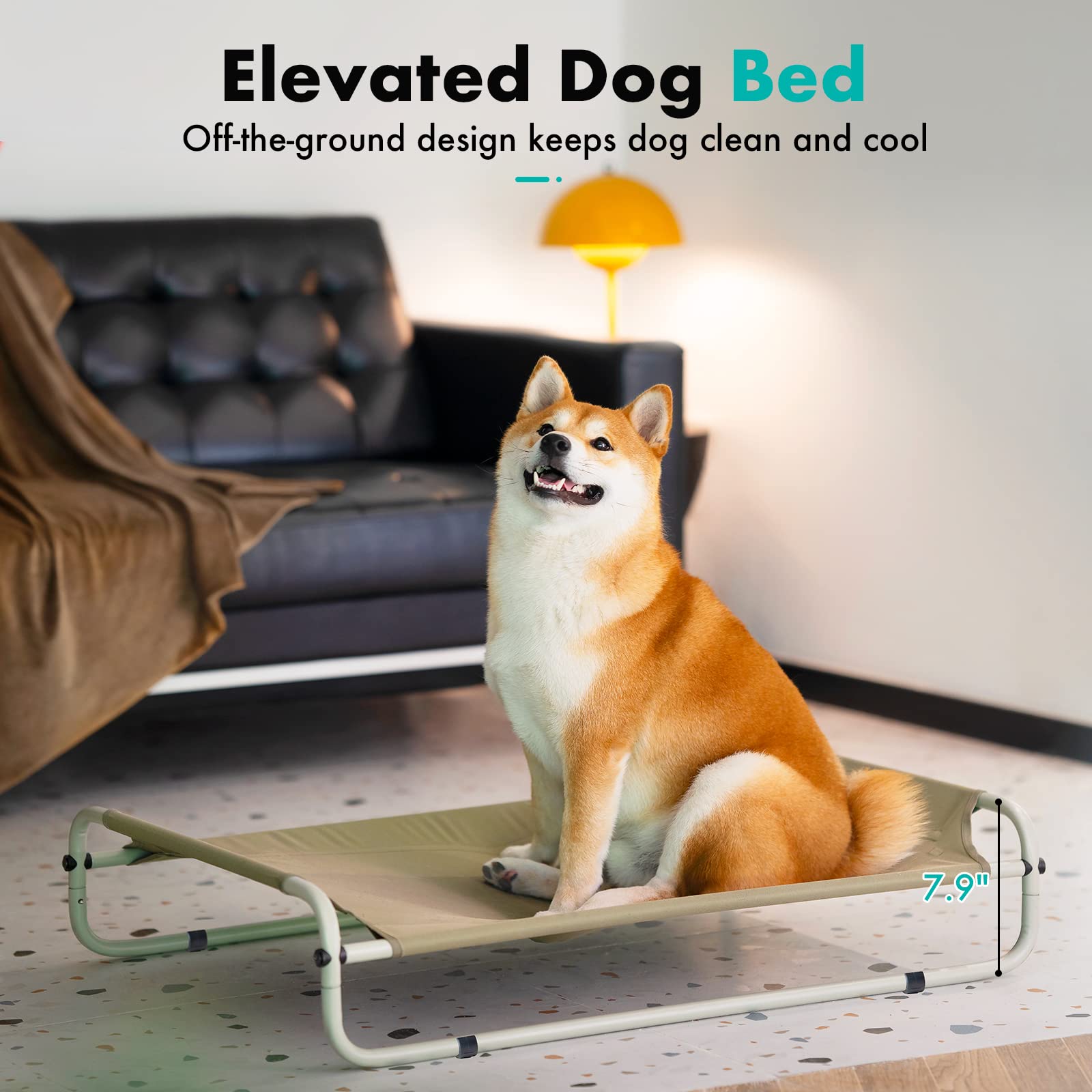 Elevated Dog Bed with Sturdy