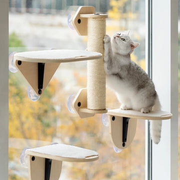 Cats Scratching Post Set