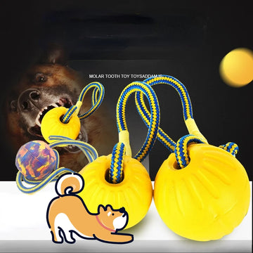 Rope Interactive Tug of War pet dog Toy