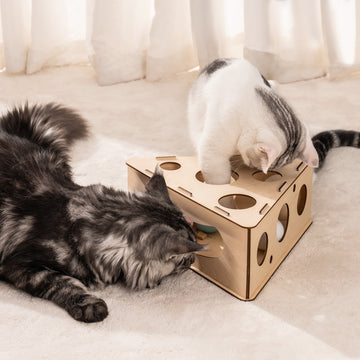 Cat Triangle Box Puzzle